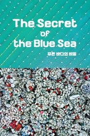 푸른 바다의 비밀