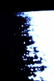 Somnus Aureoles