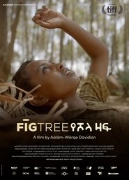 Poster Fig Tree 2018