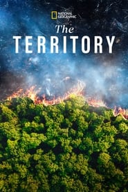 The Territory постер