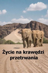 MongoDB.Entities.FuzzyString