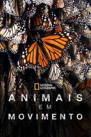 As Mais Incríveis Viagens de Animais — Temporada 1