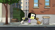 Tilly's Cats