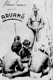 Poster Aruanã 1938