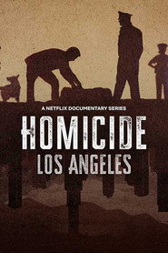 Homicide Los Angeles 3