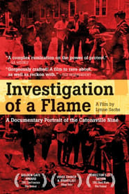 Investigation of a Flame 2002