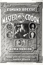 The Master Crook (1918)