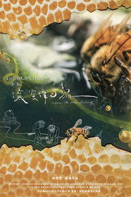 讓蜜蜂回家