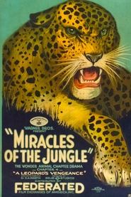 Poster Miracles of the Jungle