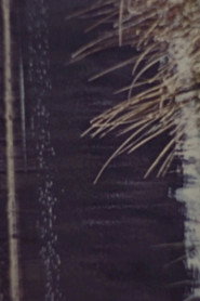 Poster for Living Moor