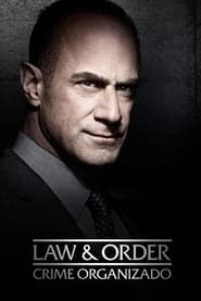 Imagem Law & Order: Crime Organizado 3ª Temporada