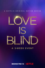 Love Is Blind S01 2020 Web Series NF WEBRip English Hindi ESubs  All Episodes 480p 720p 1080p