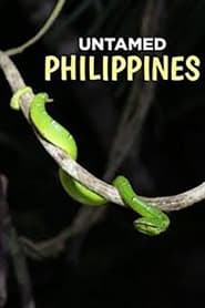 野性菲律宾