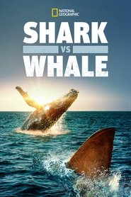 Shark Vs. Whale (2020) online ελληνικοί υπότιτλοι