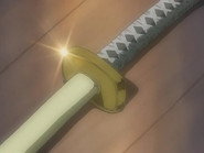 The Pirate King and the Master Swordsman