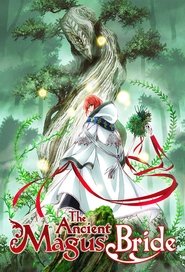 Mahoutsukai No Yome: Hoshi Matsu Hito