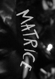matrice