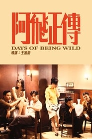 Days of Being Wild (1990)