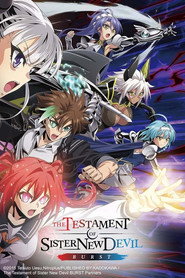 The Testament of Sister New Devil poster