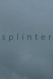 Poster Splinter 2013