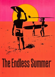 The Endless Summer постер