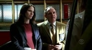 CSI: Crime Scene Investigation 6x17
