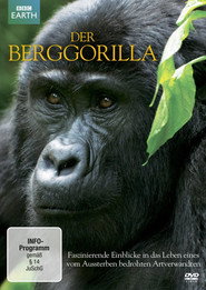 Mountain Gorilla poster