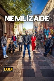 Nemlizade постер