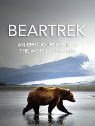 Poster Beartrek