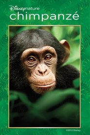 Disneynature: Chimpanzés