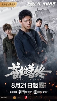 Never Say Never poster