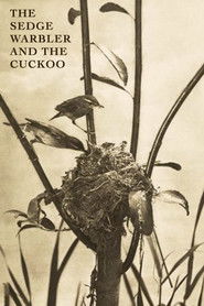 The Sedge Warbler and the Cuckoo (1911)