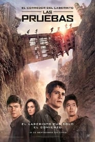 Maze Runner: Prueba de Fuego (2015) [Español Latino]