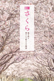春を彩る 華やかな桜のある風景