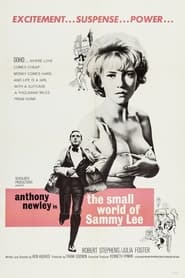 The Small World of Sammy Lee постер