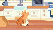 Episode 28