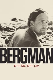 Poster Bergman - A Year in a Life