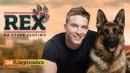 Rex en streaming