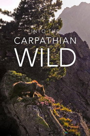 Into the Carpathian Wild