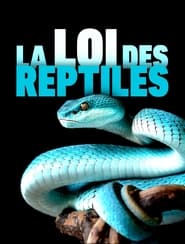 Poster La loi des reptiles