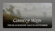 The Blackmoor Vale in September