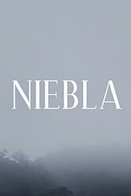 Poster Niebla