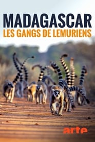 Madagascar : les gangs de lémuriens Saison 1 Streaming