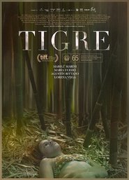 Poster Tigre