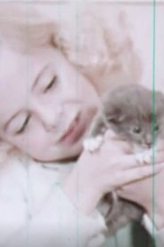 Poster Kittens: Birth and Growth 1957