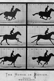 فيلم Sallie Gardner at a Gallop 1878 مترجم أون لاين بجودة عالية