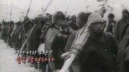 Episode 265