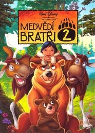 Medvědí bratři 2