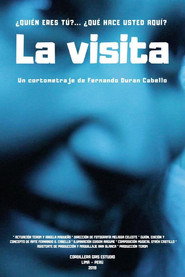 Poster for La visita