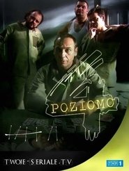 Poster for Cztery poziomo